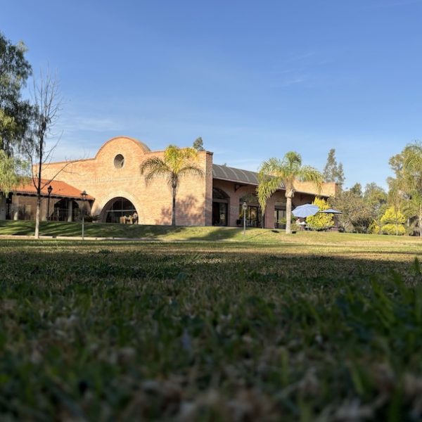 imagen1